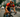 Metal pieces on Hamburg triathlon course cause havoc for cyclists