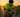 Bicyclist critically injured in Palm Beach triathlon collision - West Palm Beach Today