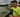 Crocodile Horror: Swim Leg Cancelled at Ironman 70.3 Colombo