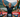 IRONMAN 70.3 Zell am See-Kaprun results 2025: Matthews and Kraft take the titles