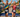 Triathlon: Back atop the Green Lake Tri
