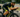 Our Hands-On Review of the New 2026 Gen 6 Canyon Speedmax CFR