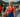 Slovakia Set to Host 5th Annual Special Olympics European Triathlon Competition