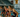 Triathlon Set to Host Duel in the Desert - University of Arizona Athletics