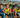 Rising hot-shot triathletes set for World Junior Champs