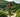 Embark on a Wild Triathlon Adventure: Challenge Sir Bani Yas Island – Where Giraffes Roam the Race Course