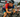 Laidlow's to lose? Ironman World Championship preview