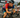 Laidlow's to lose? Ironman World Championship preview