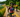Lake Country Triathlon in Oconomowoc; 10 year anniversary