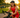 OKC Triathlon Club Treasurer Charged With Embezzling $358K