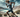 Challenge Sir Bani Yas