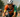 Pro Photo Gallery: A Scorcher at IRONMAN 70.3 Louisville