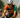 Pro Photo Gallery: A Scorcher at IRONMAN 70.3 Louisville