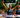 Cederic Osterholt and Daniela Kleiser win Ironman 70.3 Kraichgau