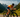 Canyon Triathlon Camp: A First Hands-On with the Brand-New Canyon Speedmax