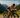 Canyon Triathlon Camp: A First Hands-On with the Brand-New Canyon Speedmax
