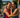 Thinking About Your First 70.3? Two First-Time Finishers Share Their Experience
