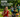St. Johns County Parks and Recreation to host kids triathlon