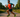 “Energetic and bouncy”: Kiprun Kipride Max running shoe review