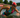 Live from Challenge Roth: The World's Biggest Triathlon Festival