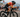The Most Popular Bikes and Components at the 2025 Men's Ironman World Championship