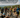 Triathlon Draws 470 Competitors