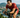 IRONMAN 2025 kicks of in the Scenic City: What residents can expect this year