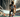 A Day With Cassandre Beaugrand - TriLaunchpad
