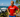 Kristian Blummenfelt reveals dream IRONMAN World Championship podium ahead of Kona 2026