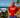 Kristian Blummenfelt reveals dream IRONMAN World Championship podium ahead of Kona 2026