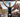 IRONMAN 70.3 St. George men's results: Lionel Sanders sees off Sam Long for fifth win at iconic venue