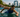 2026 Asia Triathlon Cup Osaka Live Stream (Japanese)