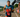 “Boutique” Racing Comes Fast: Challenge Cap Quebec in Words and Pictures