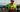 2026 Kona Qualification: Who's In, And Who Still Needs A Slot