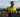 2026 Kona Qualification: Who's In, And Who Still Needs A Slot