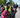 Inside MediaMotos: The Key to Endurance Sports’ Best Camera Shots