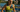 What is at stake as the 2026 World Triathlon Championship Series kicks off