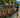 Dragonboat Festival, Triathlons at Postwood bring out 350 spectators