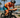 Are You Ready for the T100/ WTCS Double in the French Riviera?