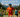 Big Blue Adventure announces 2026 race calendar