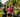 Athletes to compete in 65-mile triathlon at New River Trail State Park