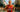 IRONMAN Frankfurt 2026 results: Norway's day again as Stornes sees off Iden