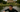 Race with Jonny Brownlee as he Attempts 10 Triathlons in One Weekend