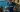 The men's 2025 Ironman World Championships Nice in pictures
