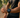 Garmin Forerunner 970 running and triathlon watch review
