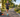 Are we choosing the wrong running shoes? Experts explain what really matters