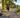 Are we choosing the wrong running shoes? Experts explain what really matters