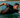 Roka Viper X3 swimskin review: Pro-level engineering for faster open-water racing