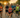 CSRA triathlon community remembers Jeff “The Mayor” Spires during Ironman weekend