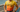 The DNF Files: 2025 Ironman World Championship Nice